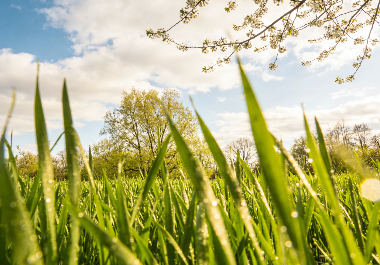 惊蛰|春雷敲醒“休眠体”
