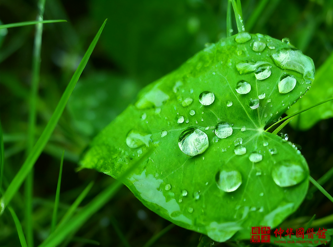 秋季雨后湿气重？一碗温汤驱湿寒，脾胃暖了，秋冬少生病