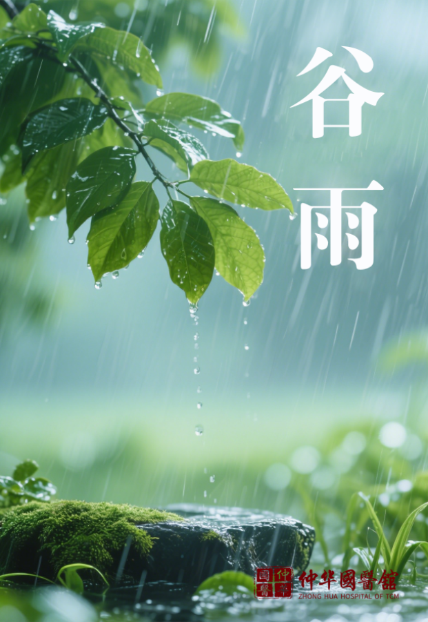 二十四节气之谷雨☔