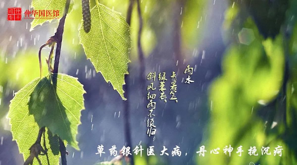 雨水