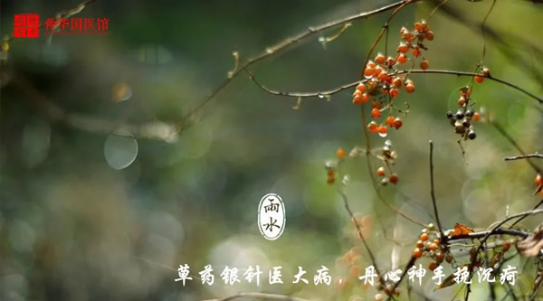 雨水