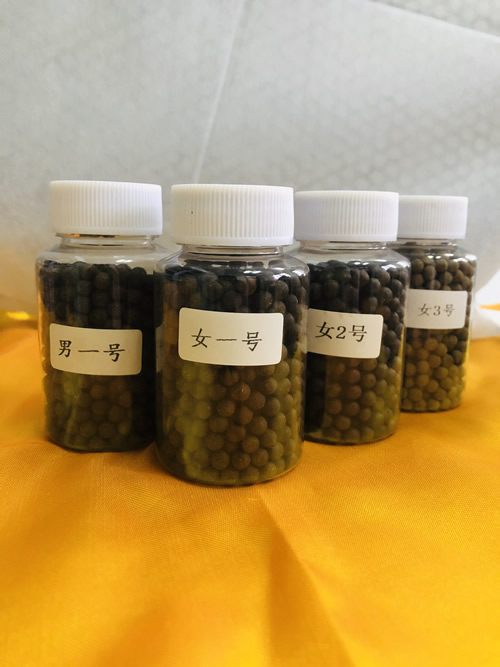 临方炮制