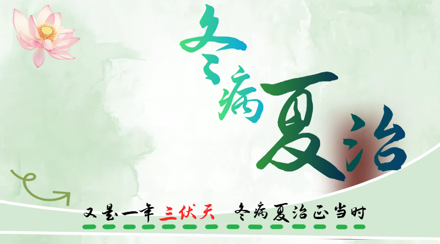 头伏至，仲华国医馆里暖意浓 —— 三伏贴与火龙灸的忙碌时光