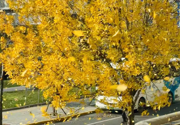 秋天胃总 “emo”?跟着中医吃 + 做,轻松拿捏养胃小技巧