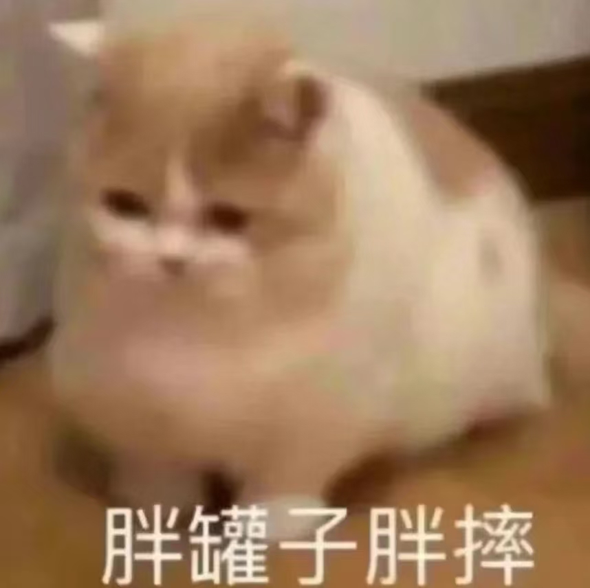上班后工位竟是 “养猪场”？中医：是“远古记忆” 觉醒了