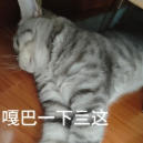 流感比感冒猛 10 倍？这份防护指南全家必藏